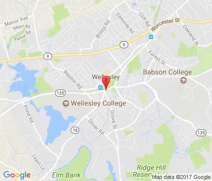 logo-image - wellesley-ma